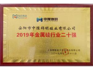 2019年金属硅行业20强