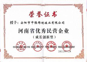安阳市优秀民营企业证书